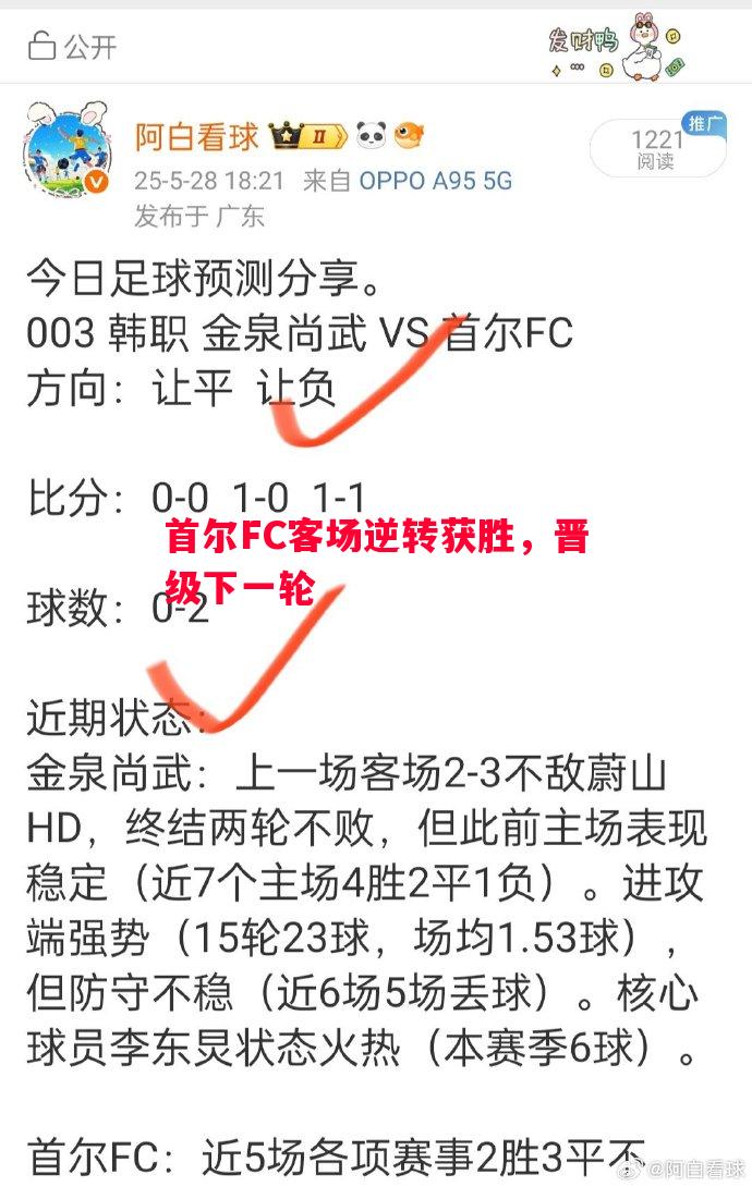 首尔FC客场逆转获胜，晋级下一轮