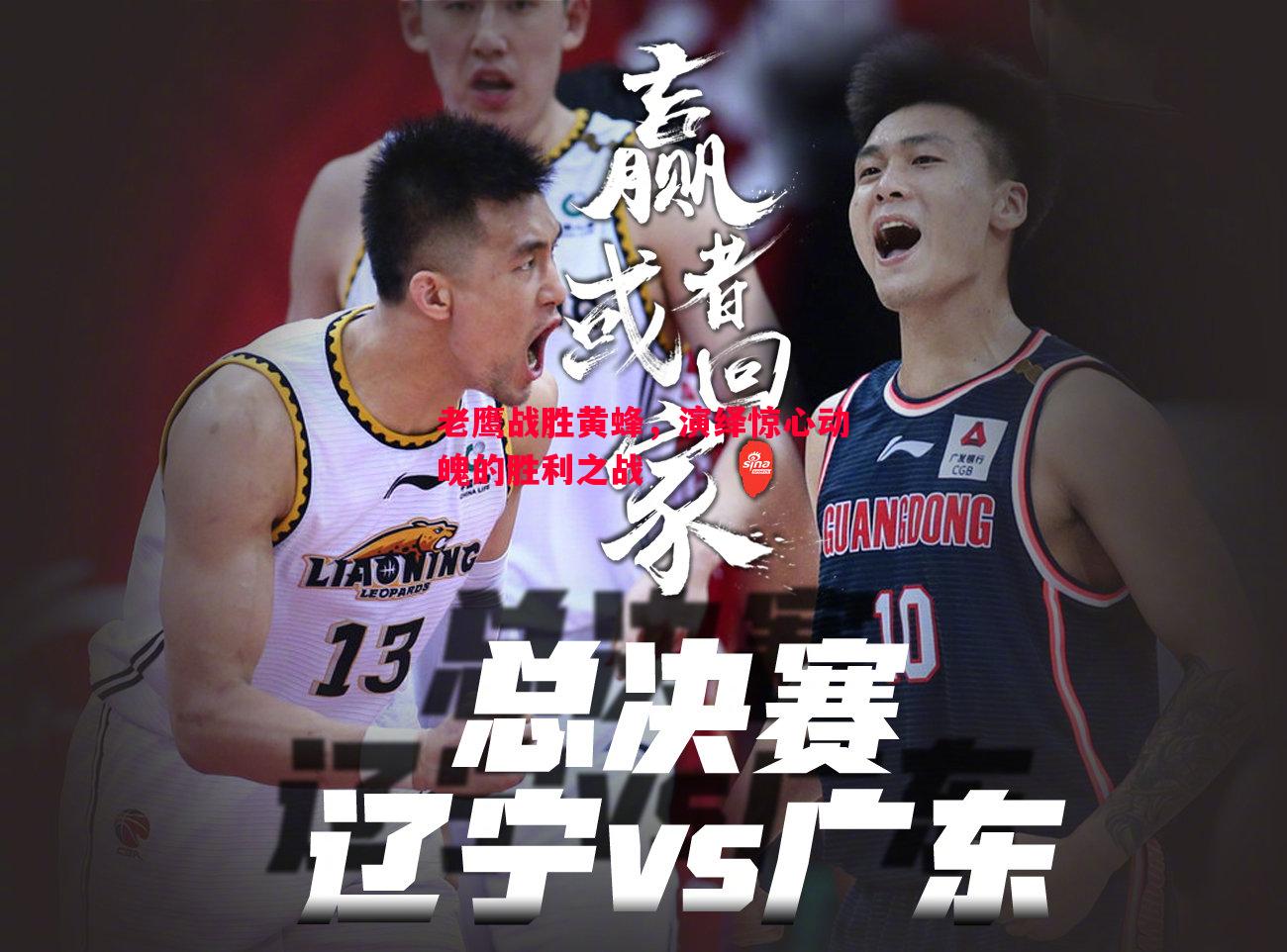老鹰战胜黄蜂，演绎惊心动魄的胜利之战