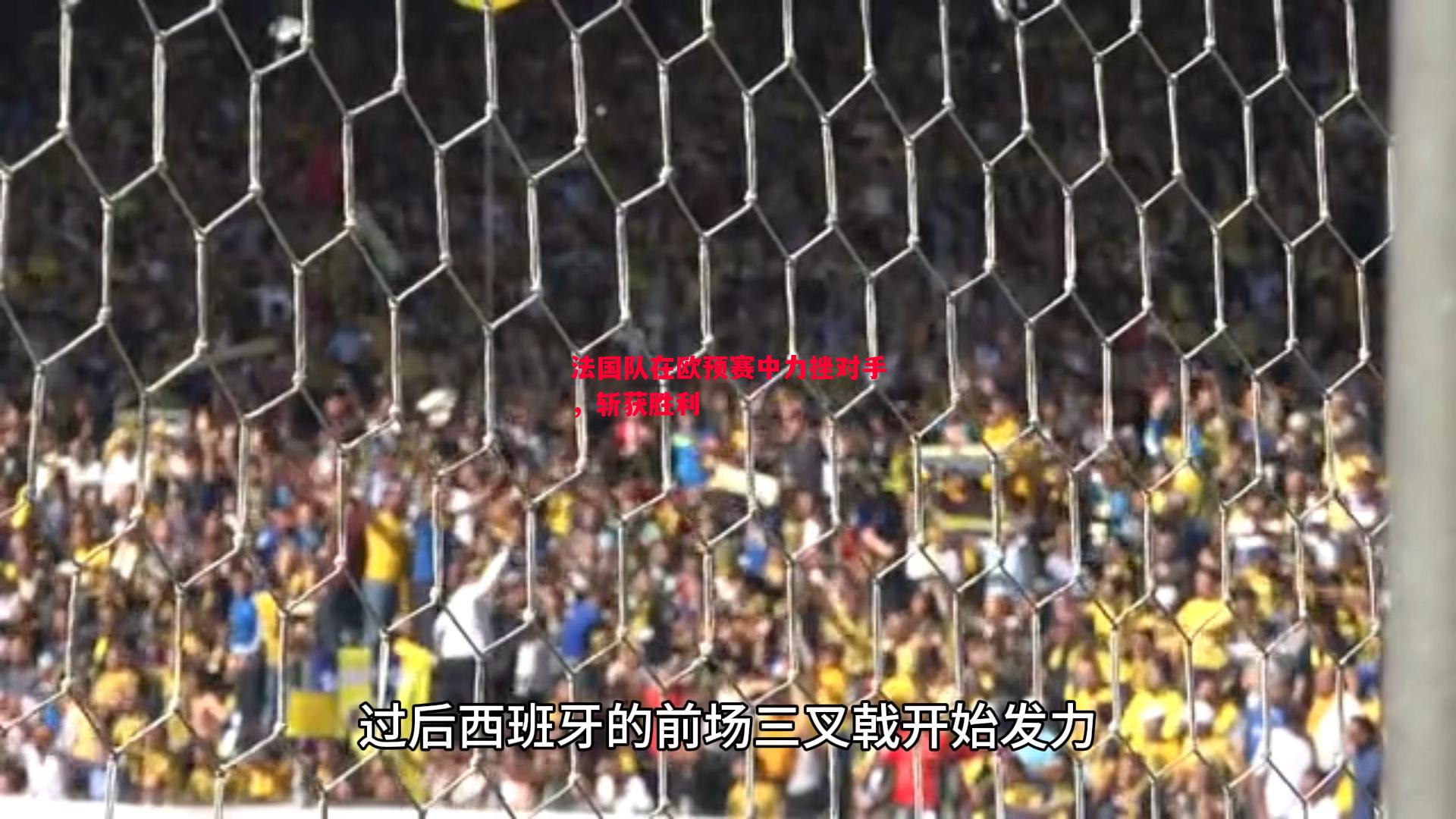 法国队在欧预赛中力挫对手，斩获胜利