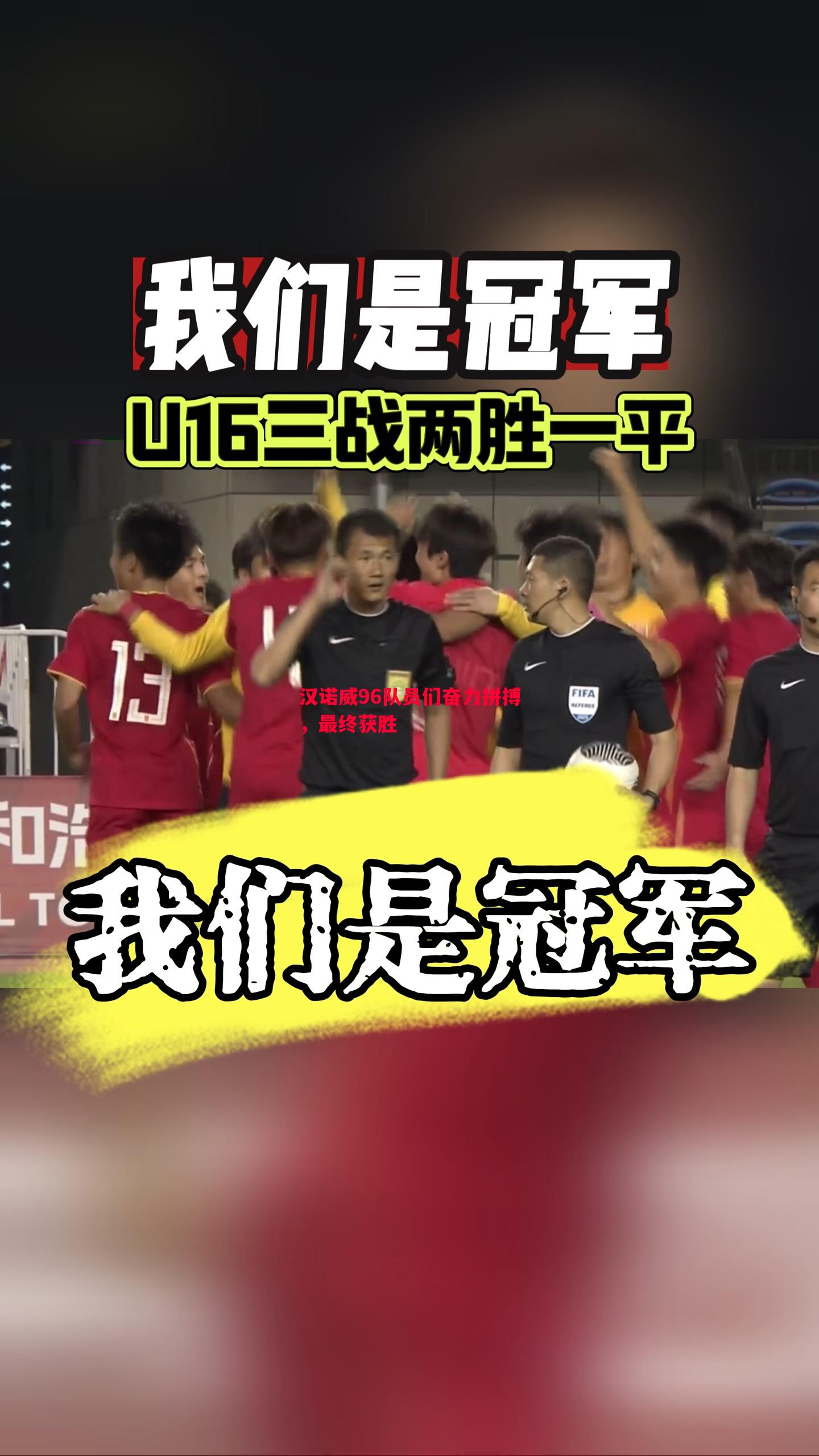 汉诺威96队员们奋力拼搏，最终获胜