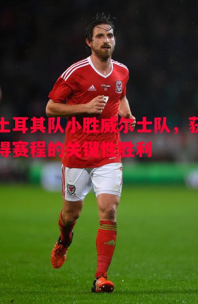 土耳其队小胜威尔士队，获得赛程的关键性胜利