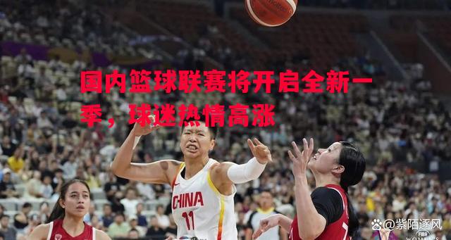 国内篮球联赛将开启全新一季，球迷热情高涨