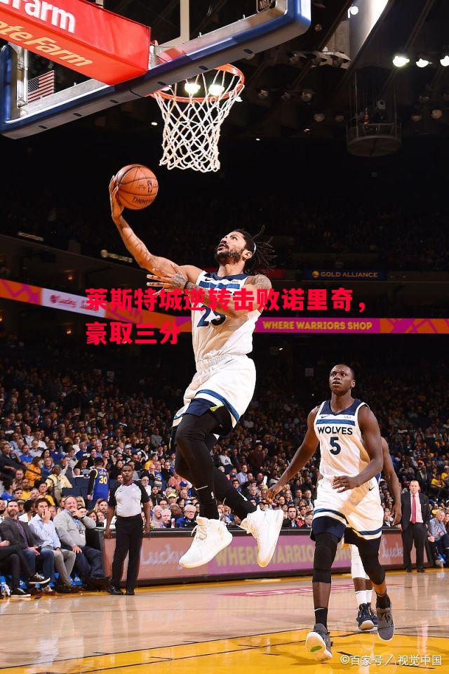 莱斯特城逆转击败诺里奇,豪取三分 莱斯特城逆转击败诺里奇,豪取三分