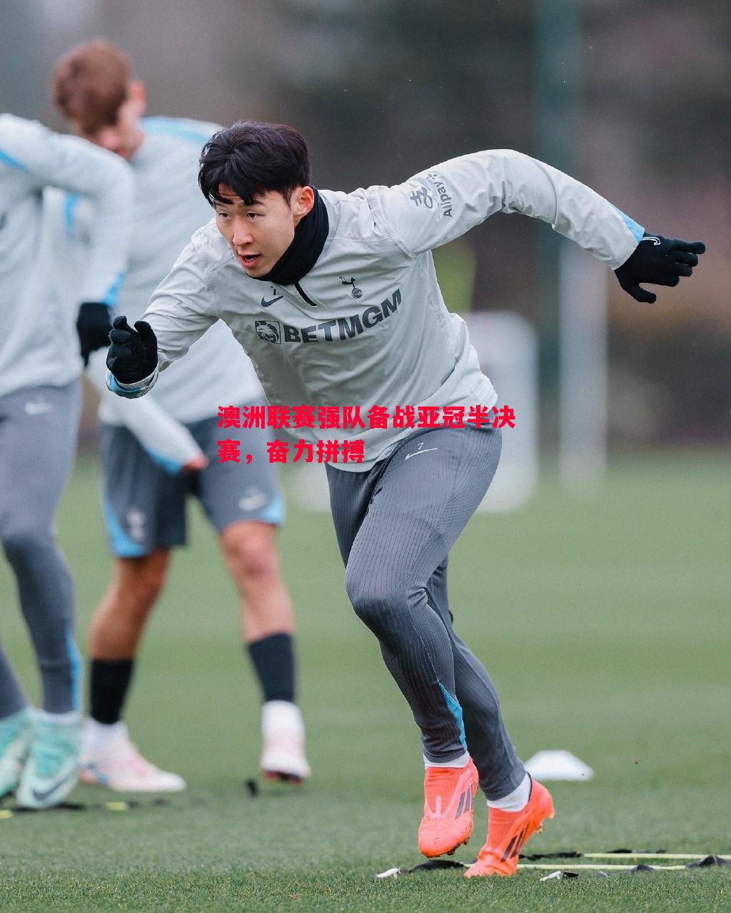 澳洲联赛强队备战亚冠半决赛,奋力拼搏 澳洲联赛强队备战亚冠半决赛,奋力拼搏