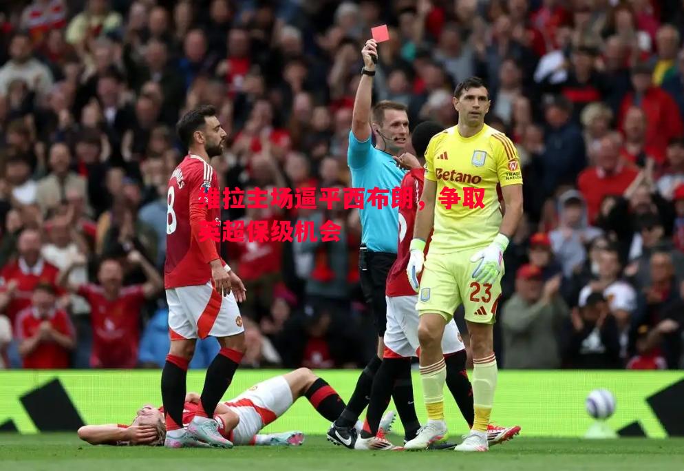 维拉主场逼平西布朗,争取英超保级机会 维拉主场逼平西布朗,争取英超保级机会