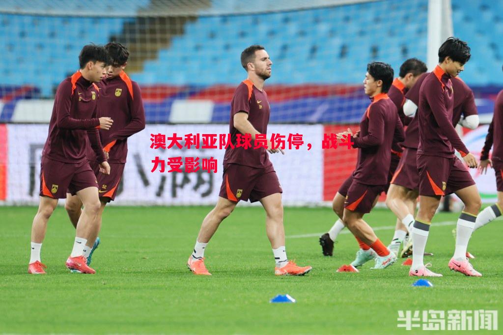 澳大利亚队球员伤停,战斗力受影响 澳大利亚队球员伤停,战斗力受影响