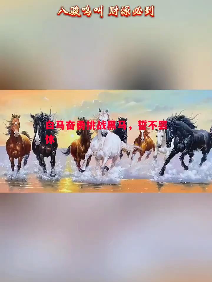 白马奋勇挑战黑马,誓不罢休 白马奋勇挑战黑马,誓不罢休