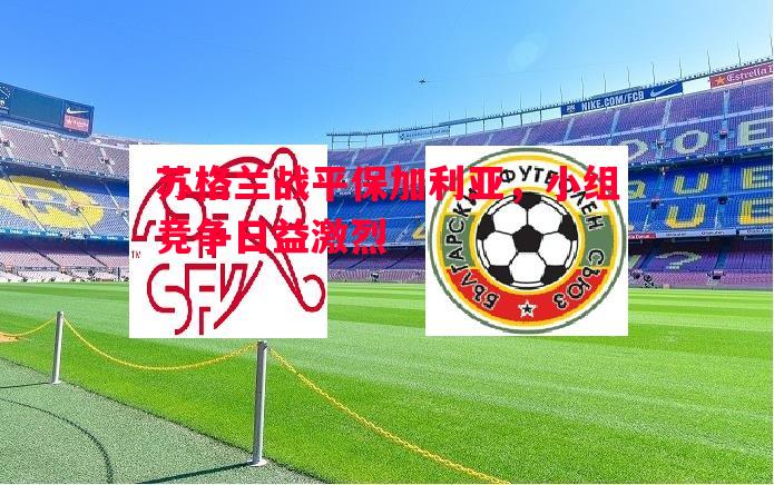 悟空体育-苏格兰战平保加利亚，小组竞争日益激烈