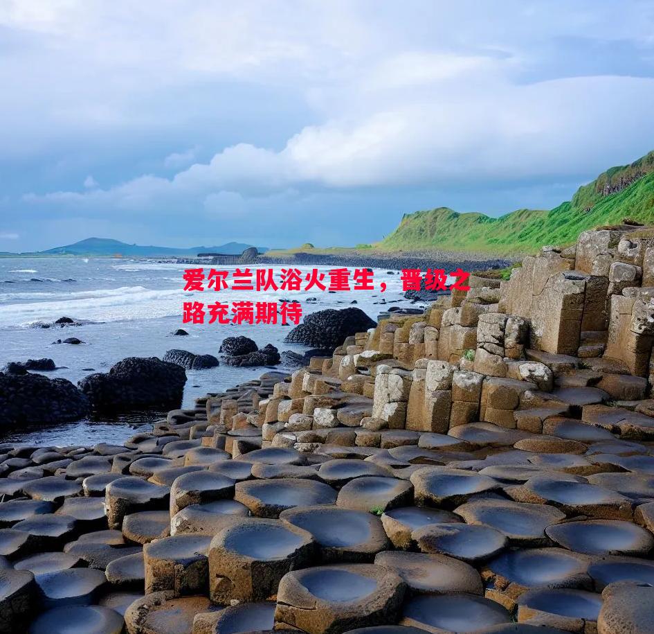 悟空体育-爱尔兰队浴火重生，晋级之路充满期待