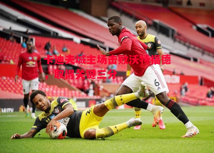悟空体育官网-卡迪夫城主场击败沃特福德，取得关键三分