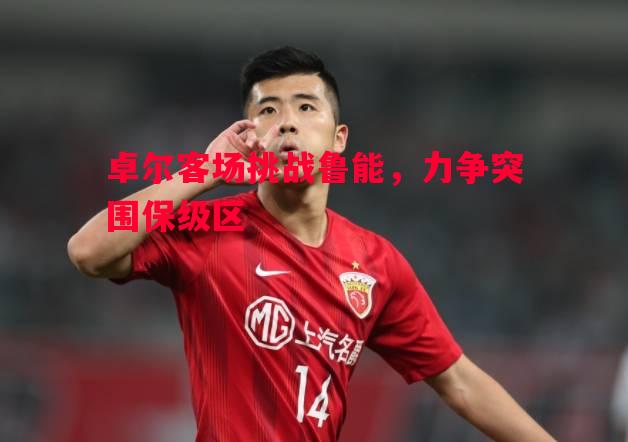 悟空体育-卓尔客场挑战鲁能，力争突围保级区