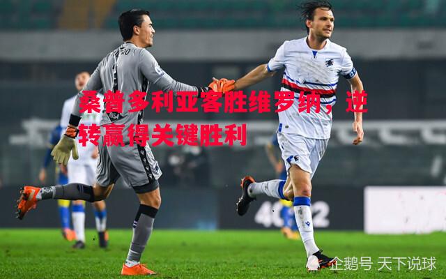 悟空体育官方网站-桑普多利亚客胜维罗纳，逆转赢得关键胜利