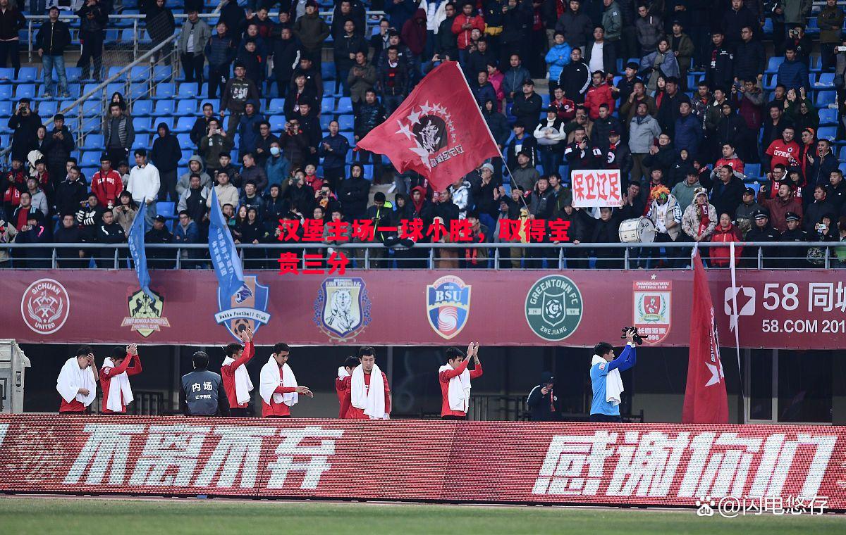 悟空体育官方网站-汉堡主场一球小胜，取得宝贵三分