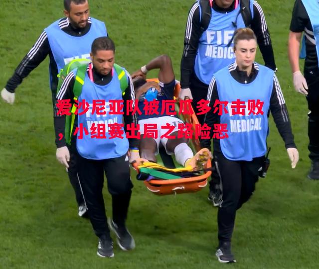 爱沙尼亚队被厄瓜多尔击败，小组赛出局之路险恶