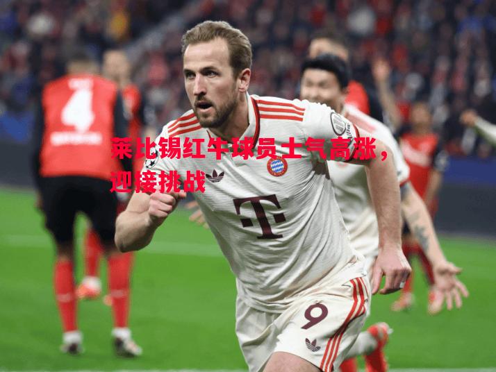 莱比锡红牛球员士气高涨，迎接挑战