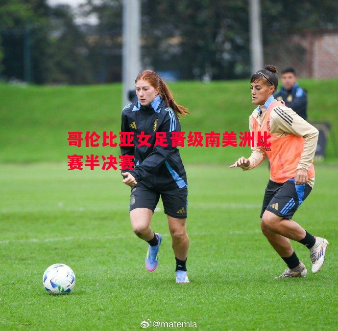 哥伦比亚女足晋级南美洲比赛半决赛