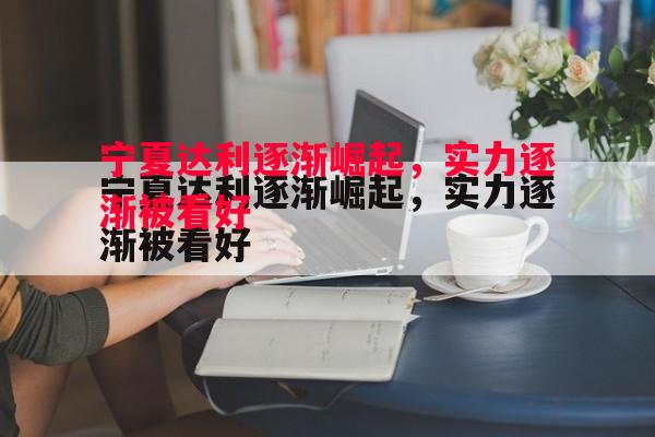 宁夏达利逐渐崛起，实力逐渐被看好