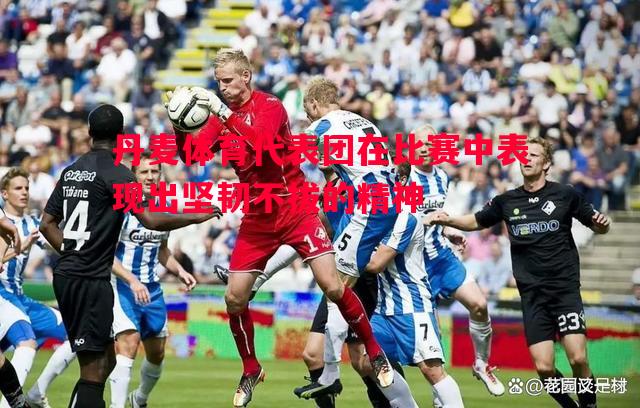 丹麦体育代表团在比赛中表现出坚韧不拔的精神