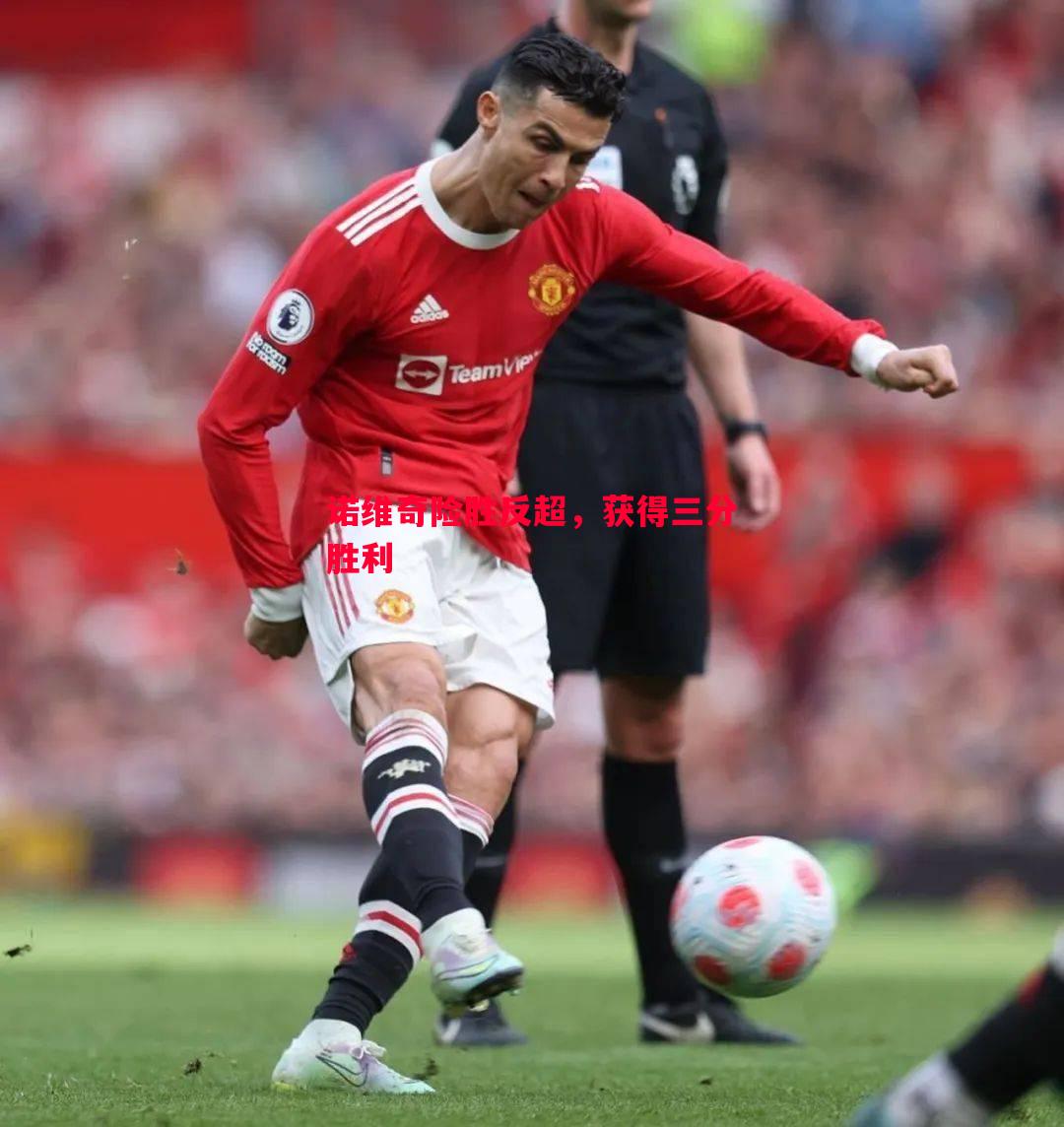 诺维奇险胜反超,获得三分胜利 诺维奇险胜反超,获得三分胜利