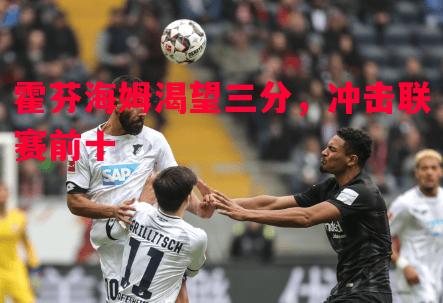 霍芬海姆渴望三分,冲击联赛前十 霍芬海姆渴望三分,冲击联赛前十